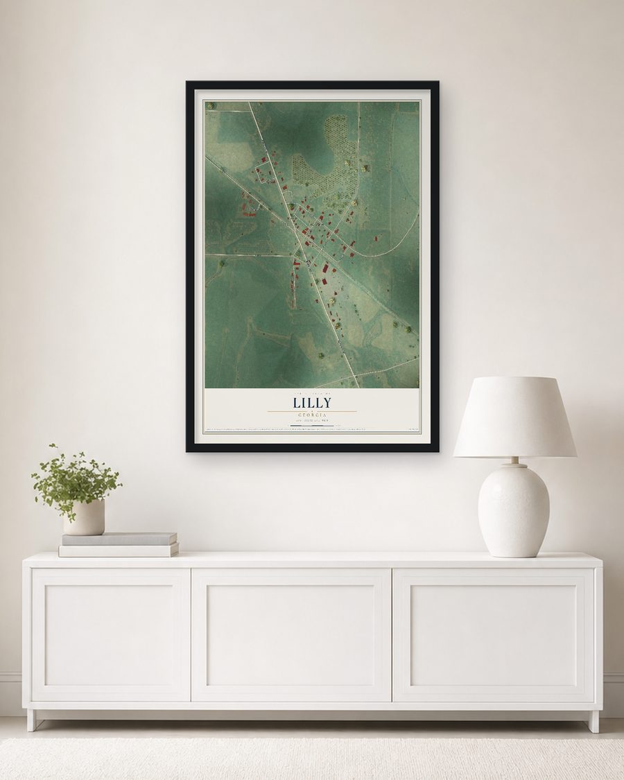 The Lilly, Georgia map, 24 x 36 in, in a black wood frame on a living room wall