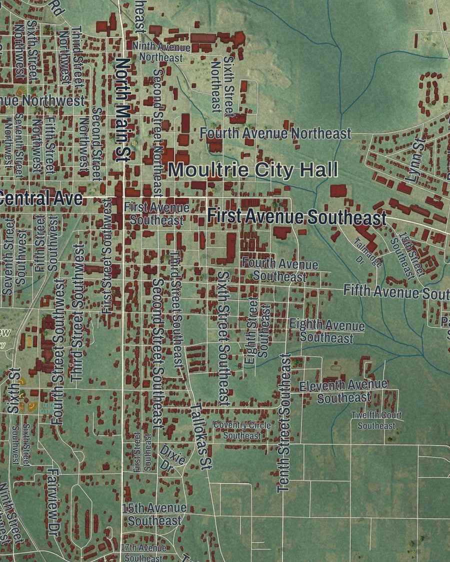 Close-up of Moultrie streets on the map