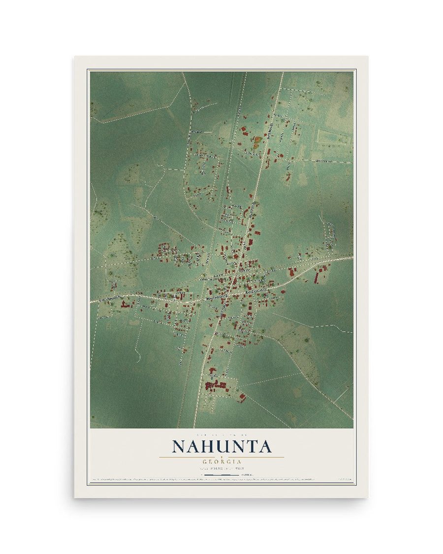 Nahunta, Georgia map print, 12 x 18 in, print only