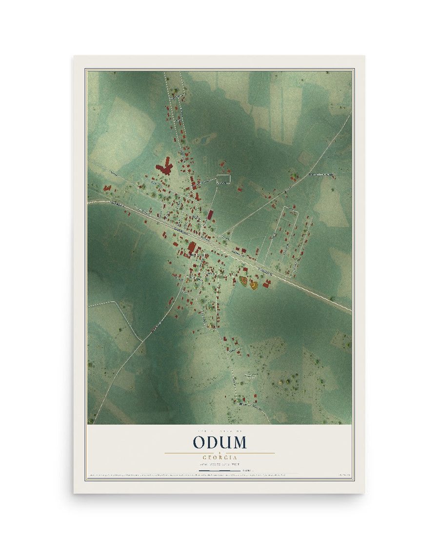 Odum, Georgia map print, 12 x 18 in, print only