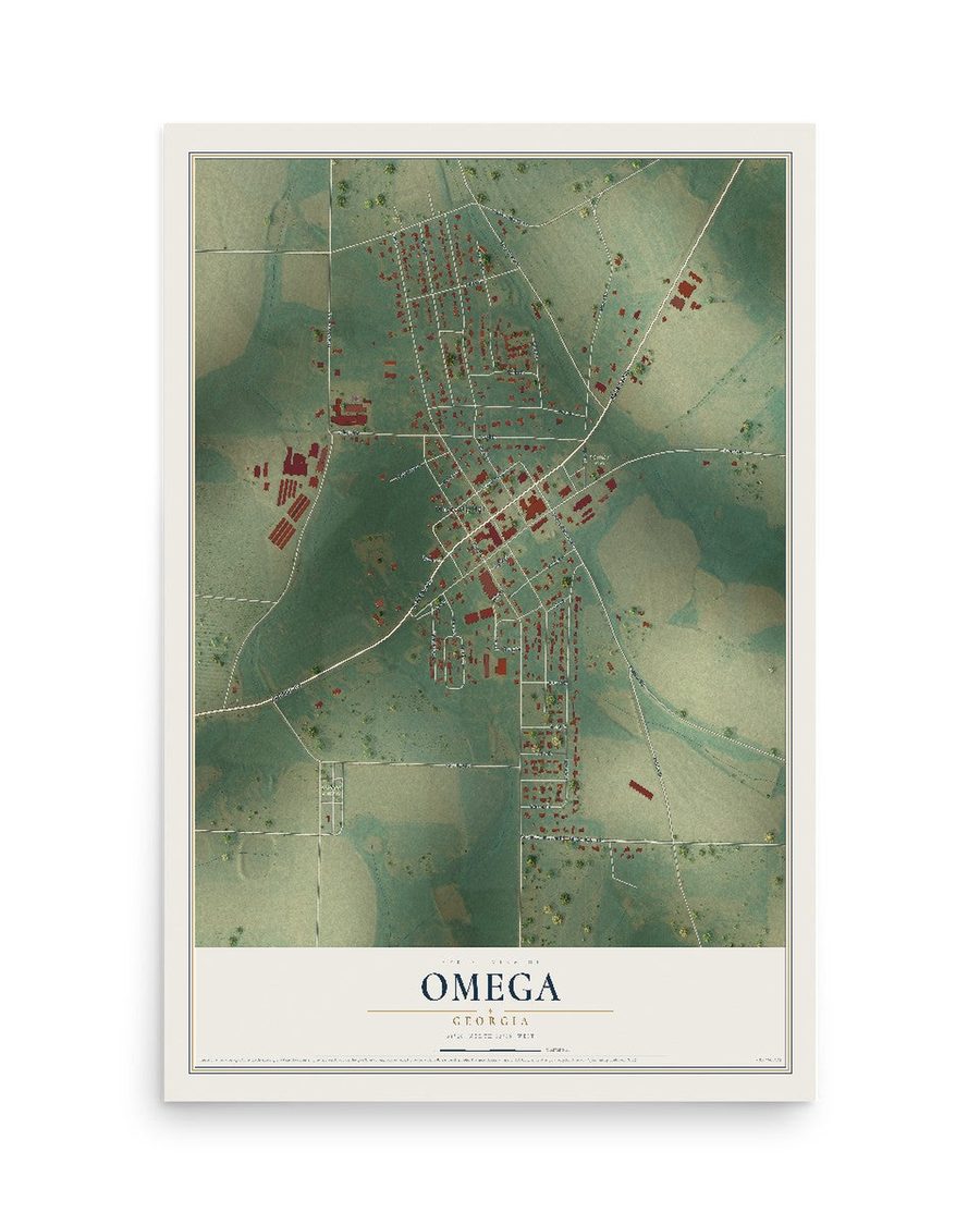 Omega, Georgia map print, 12 x 18 in, print only