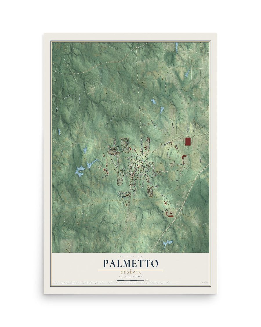 Palmetto, Georgia map print, 12 x 18 in, print only