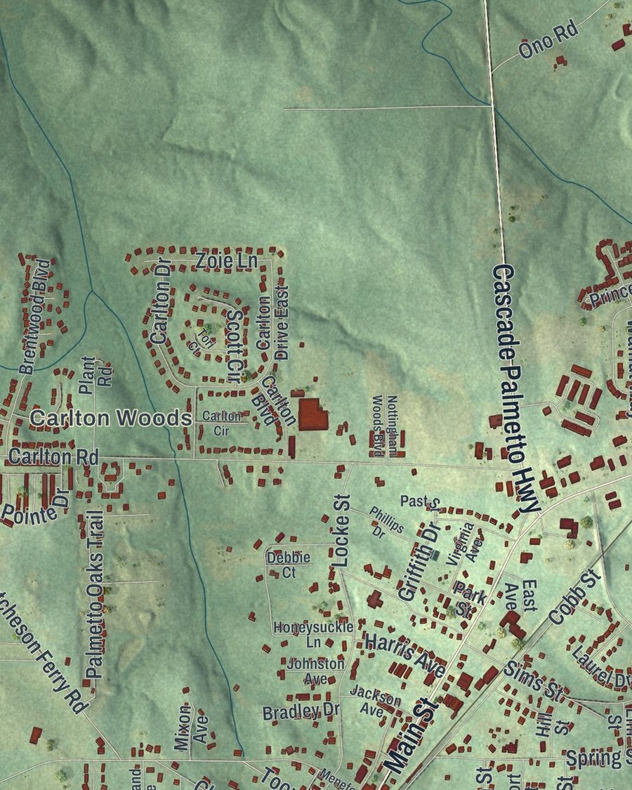Close-up of Palmetto streets on the map