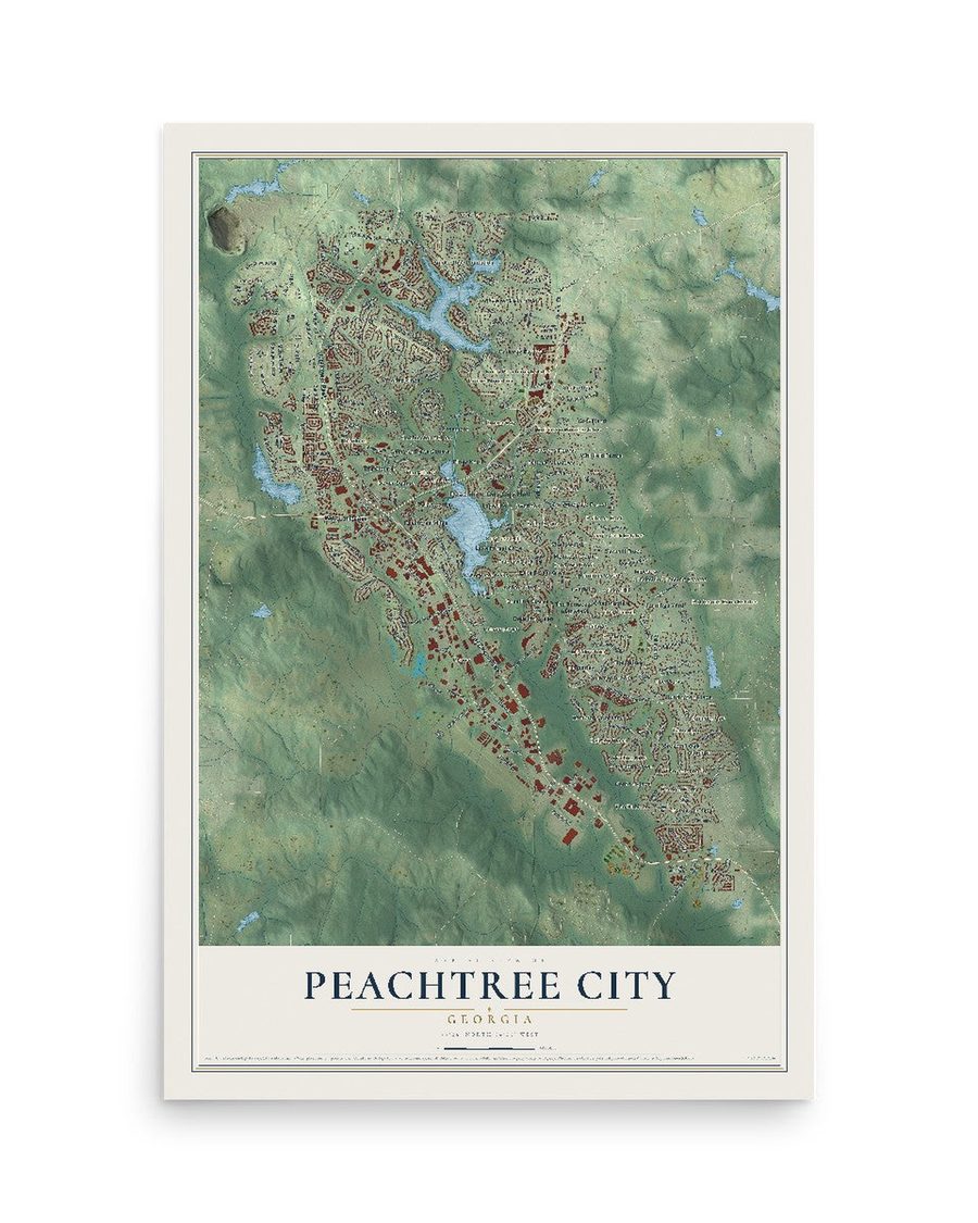 Peachtree City, Georgia map print, 12 x 18 in, print only