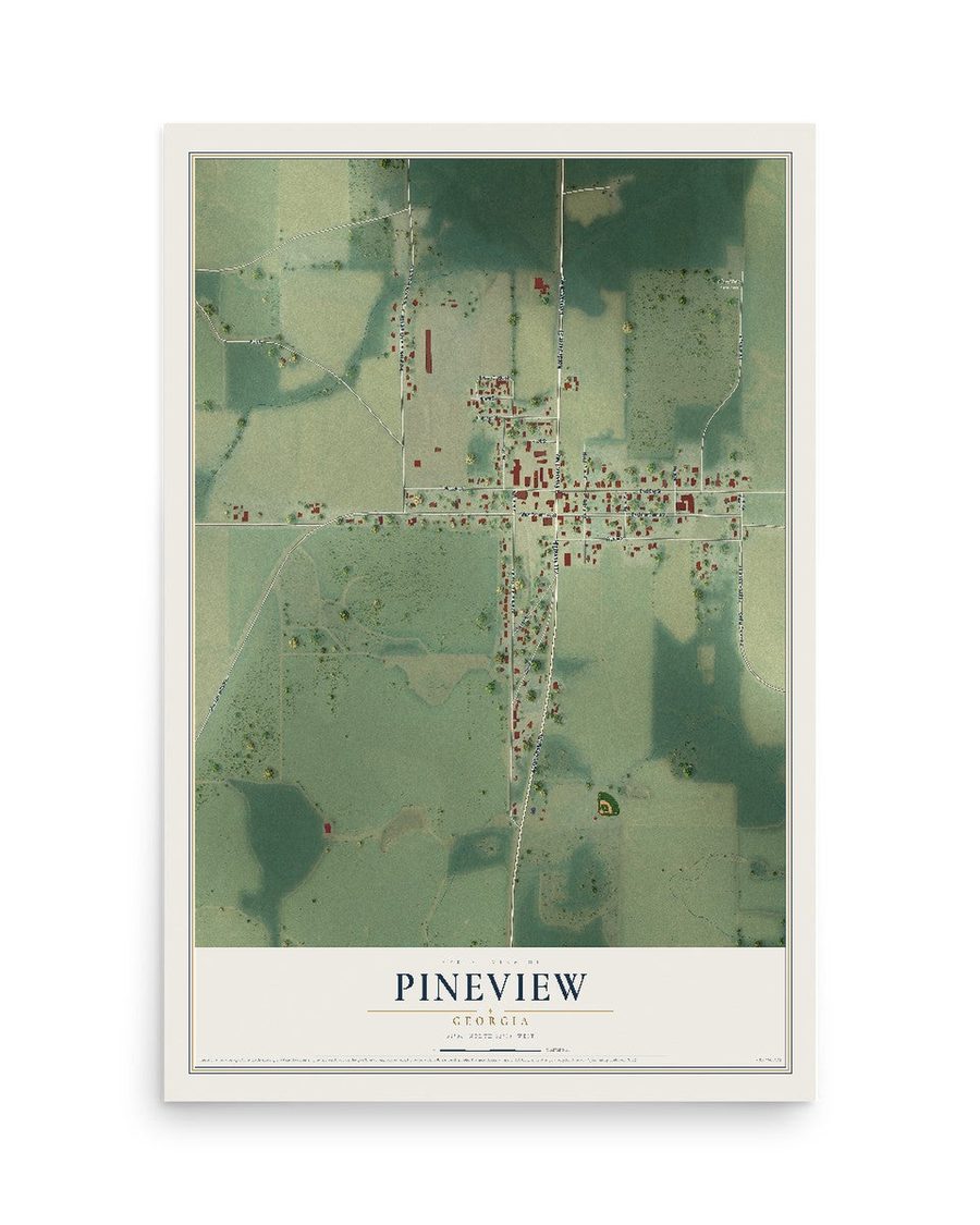 Pineview, Georgia map print, 12 x 18 in, print only
