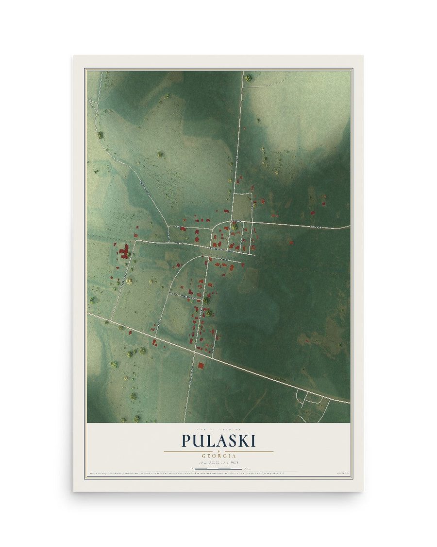 Pulaski, Georgia map print, 12 x 18 in, print only