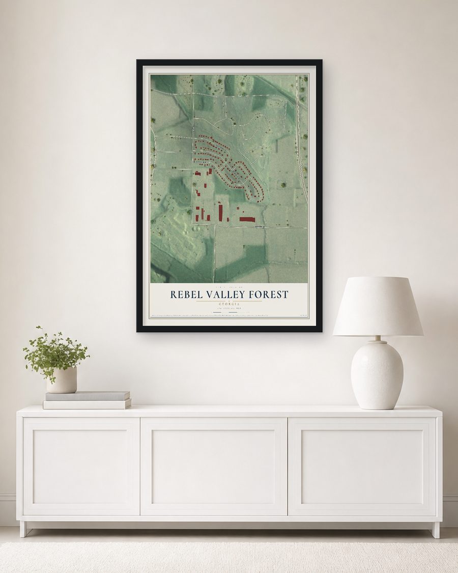 The Rebel Valley Forest, Georgia map, 24 x 36 in, in a black wood frame on a living room wall