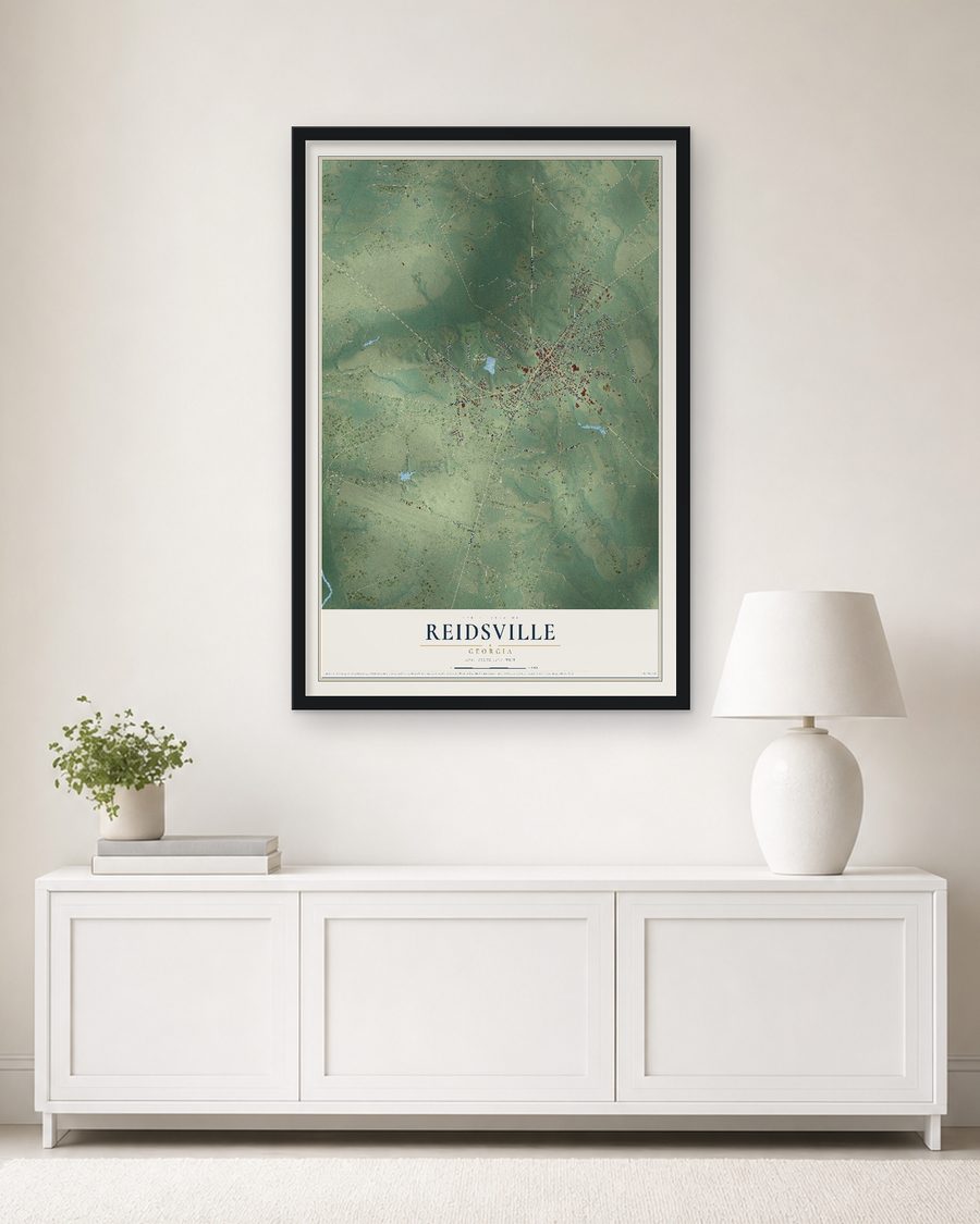 The Reidsville, Georgia map, 24 x 36 in, in a black wood frame on a living room wall