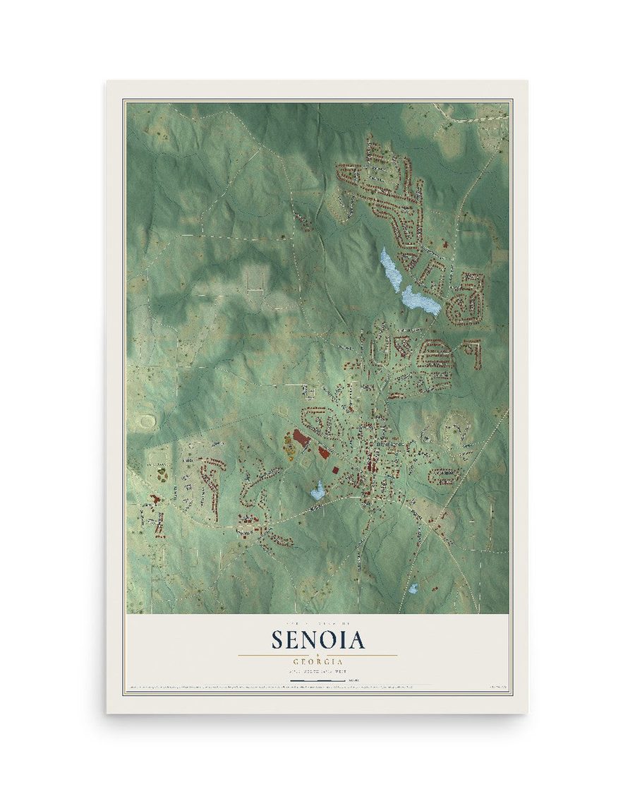 Senoia, Georgia map print, 12 x 18 in, print only