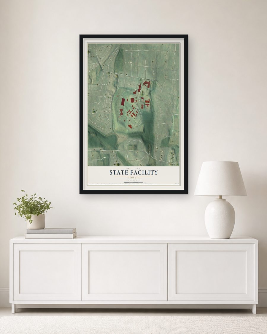 The State Facility, Georgia map, 24 x 36 in, in a black wood frame on a living room wall