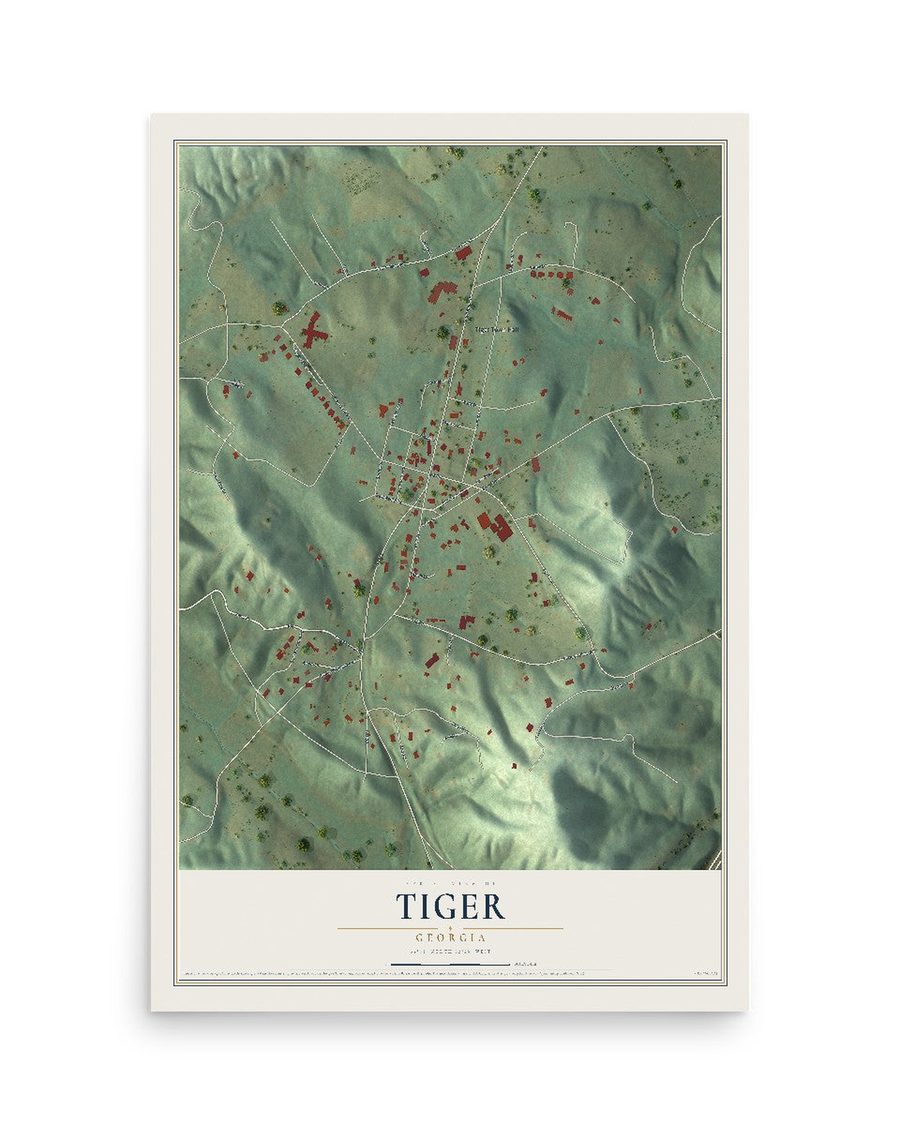 Tiger, Georgia map print, 12 x 18 in, print only