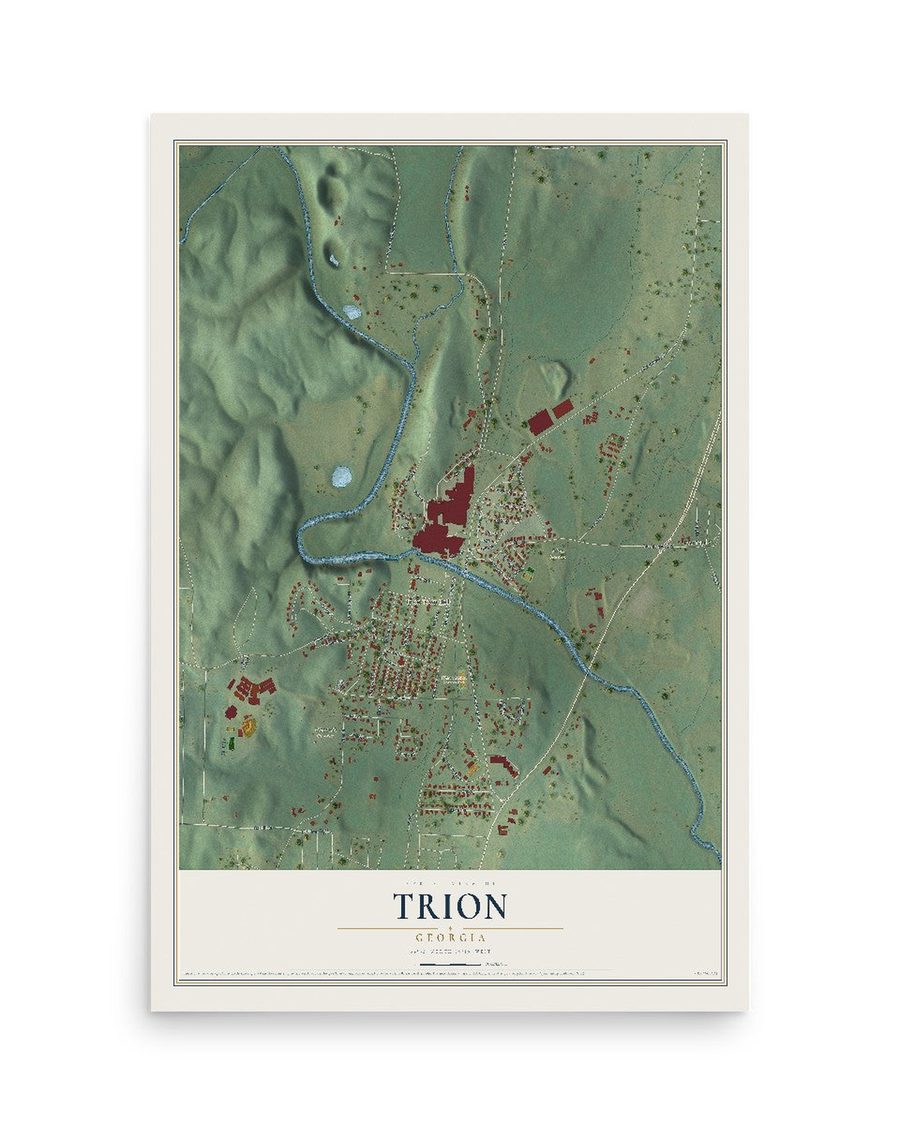 Trion, Georgia map print, 12 x 18 in, print only