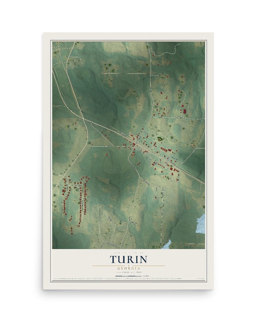 Turin, Georgia map print, 12 x 18 in, print only