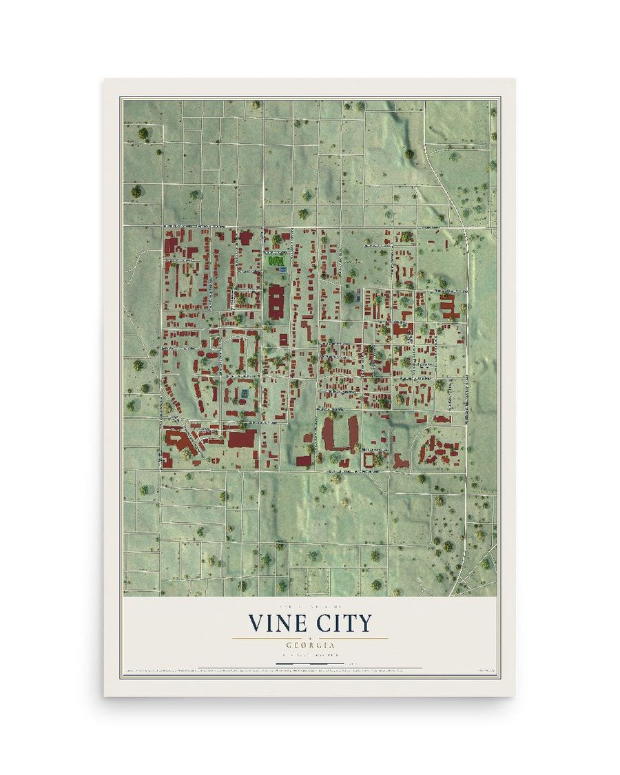 Vine City, Georgia map print, 12 x 18 in, print only