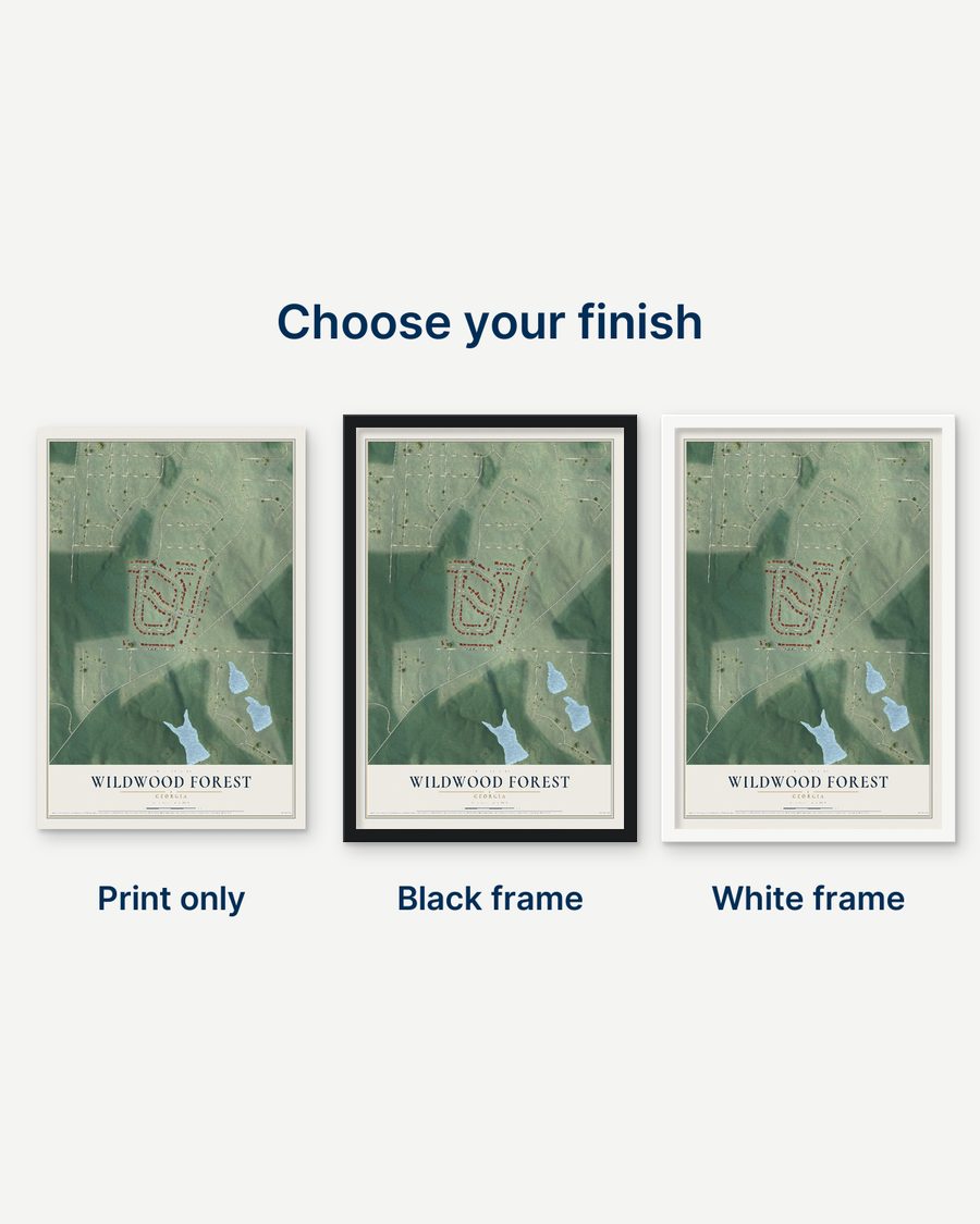 The Wildwood Forest, Georgia map as a print only, in a black frame and in a white frame