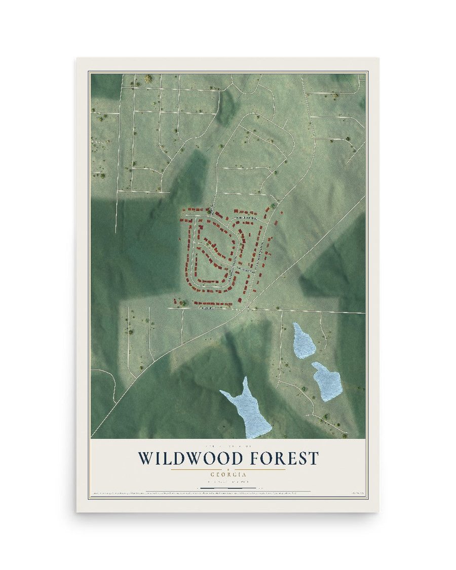 Wildwood Forest, Georgia map print, 12 x 18 in, print only