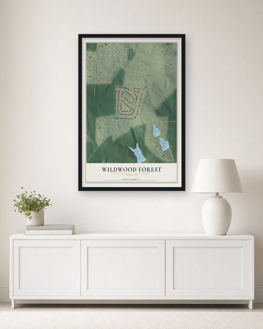 The Wildwood Forest, Georgia map, 24 x 36 in, in a black wood frame on a living room wall