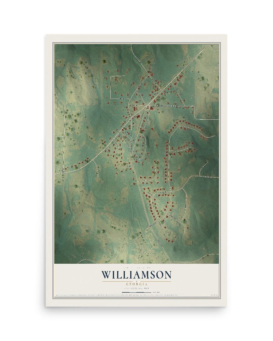 Williamson, Georgia map print, 12 x 18 in, print only