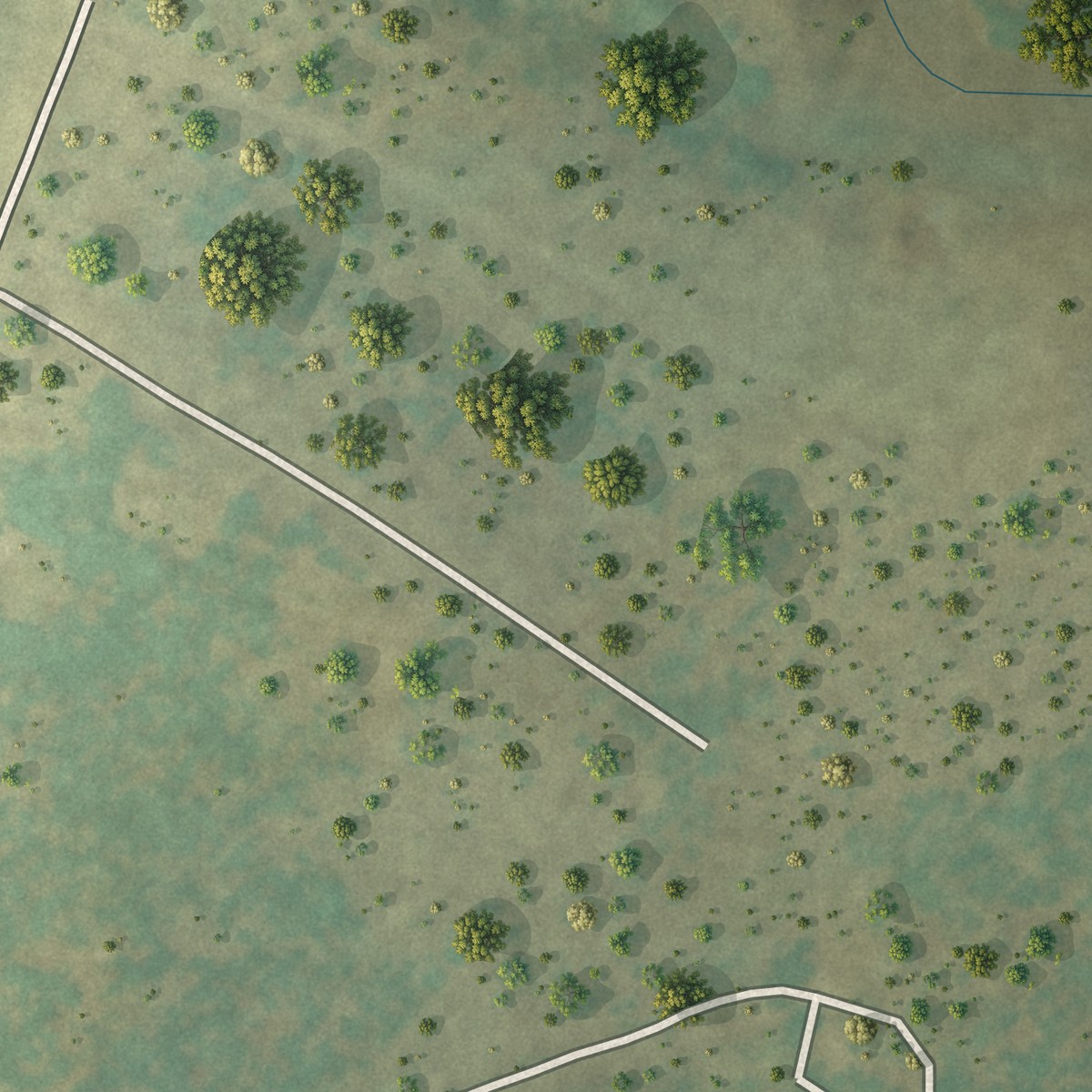 Second close-up of the map of Abney Crossroads, South Carolina print showing more streets and buildings