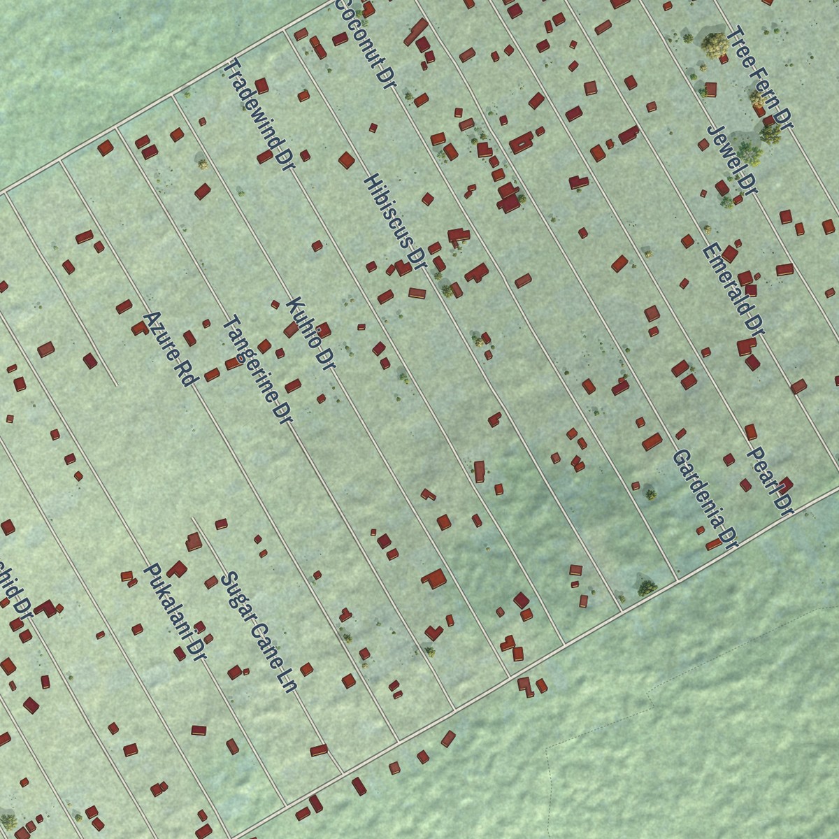 Second close-up of the map of Ainaloa, Hawaii print showing more streets and buildings