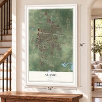 Alamo, Texas map, 24 x 36 inch print in a white frame by a staircase