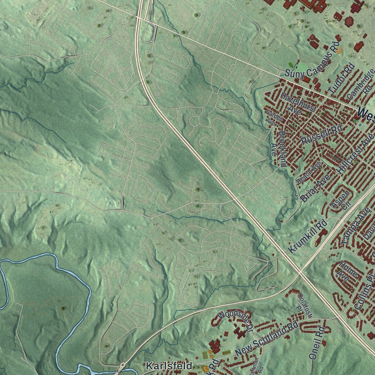 Second close-up of the map of Albany, New York print showing more streets and buildings