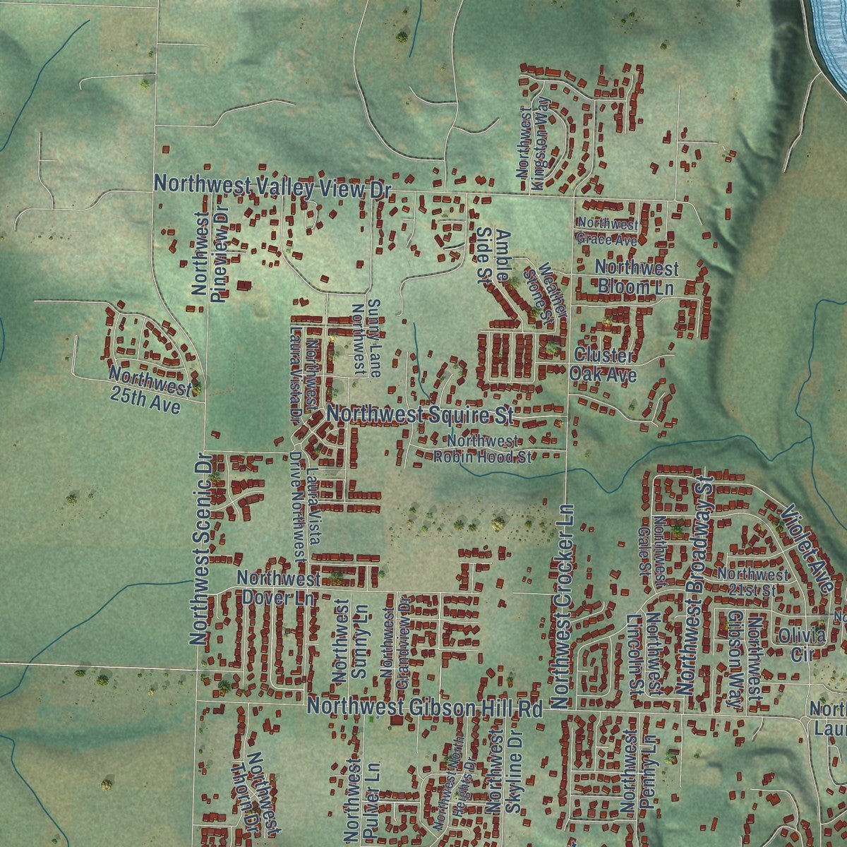 Second close-up of the map of Albany, Oregon print showing more streets and buildings