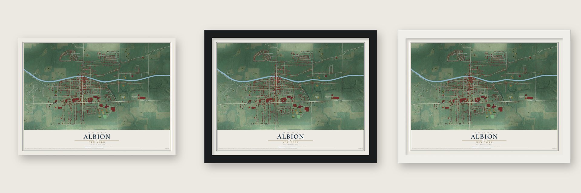 Albion, New York map unframed, in a black wood frame and in a white wood frame