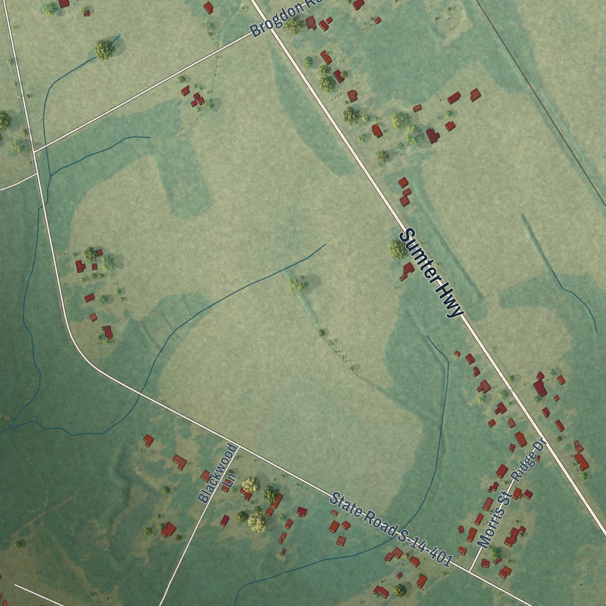 Second close-up of the map of Alcolu, South Carolina print showing more streets and buildings