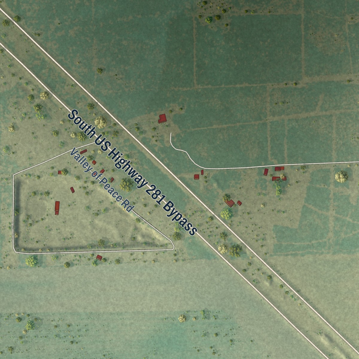 Second close-up of the map of Alice Acres, Texas print showing more streets and buildings