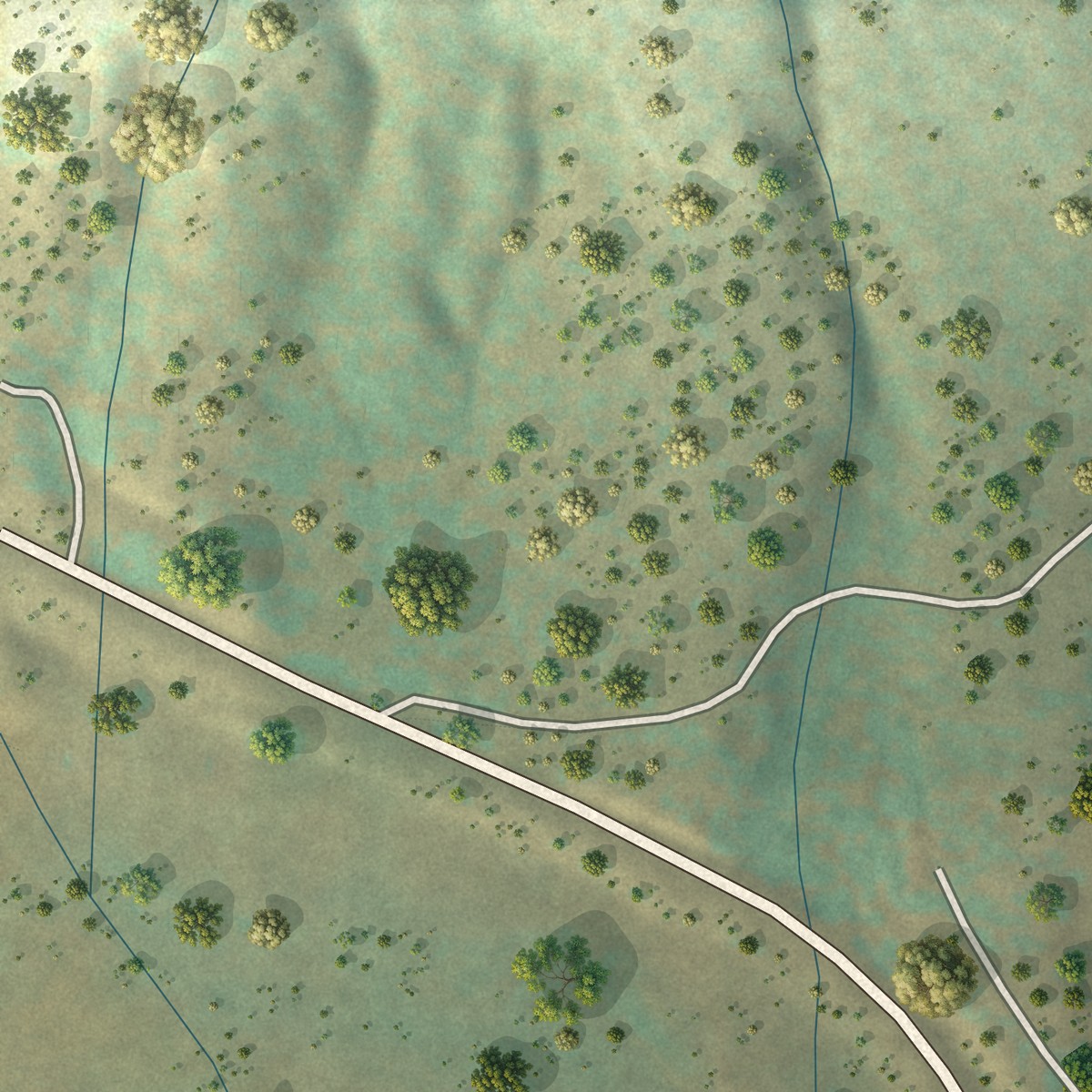 Second close-up of the map of Alpine, Arizona print showing more streets and buildings
