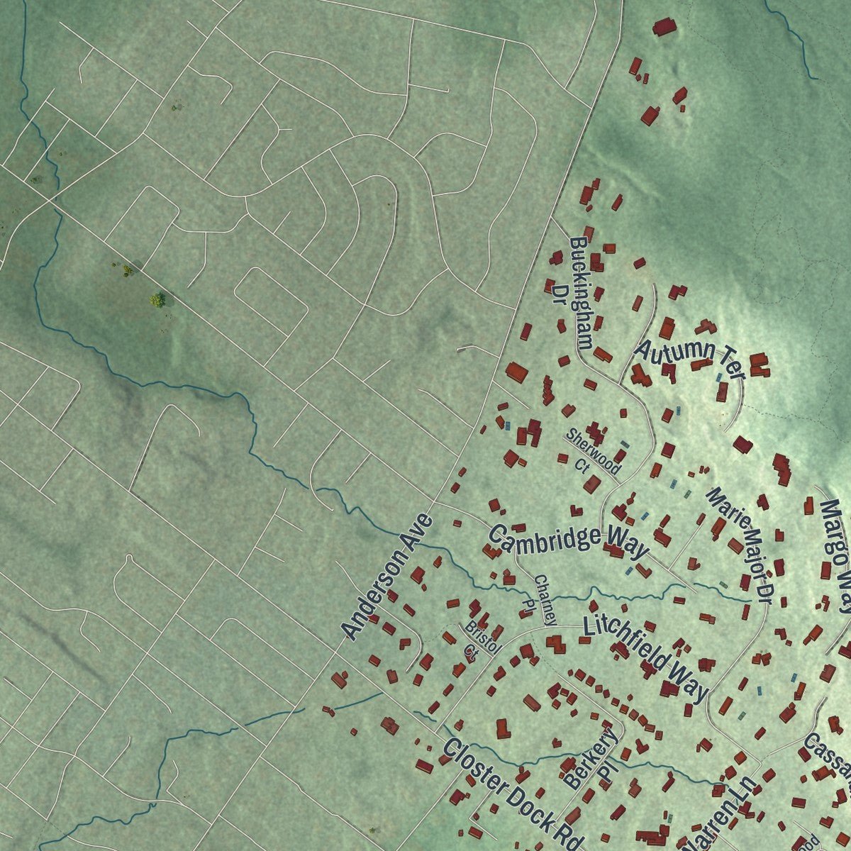 Second close-up of the map of Alpine, New Jersey print showing more streets and buildings