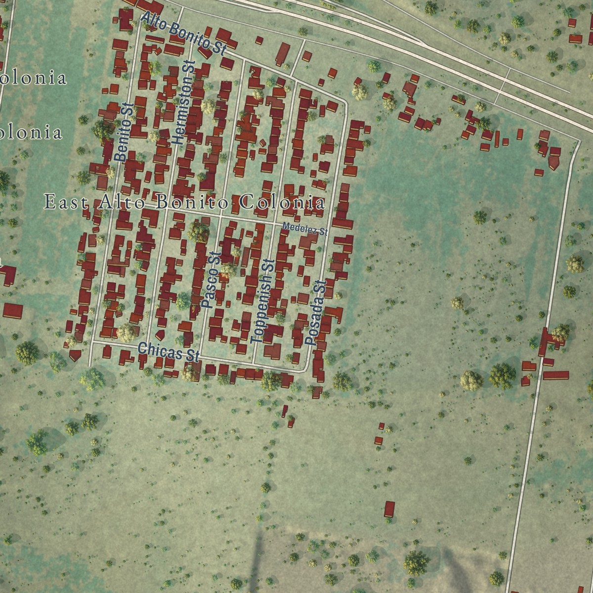 Second close-up of the map of Alto Bonito, Texas print showing more streets and buildings