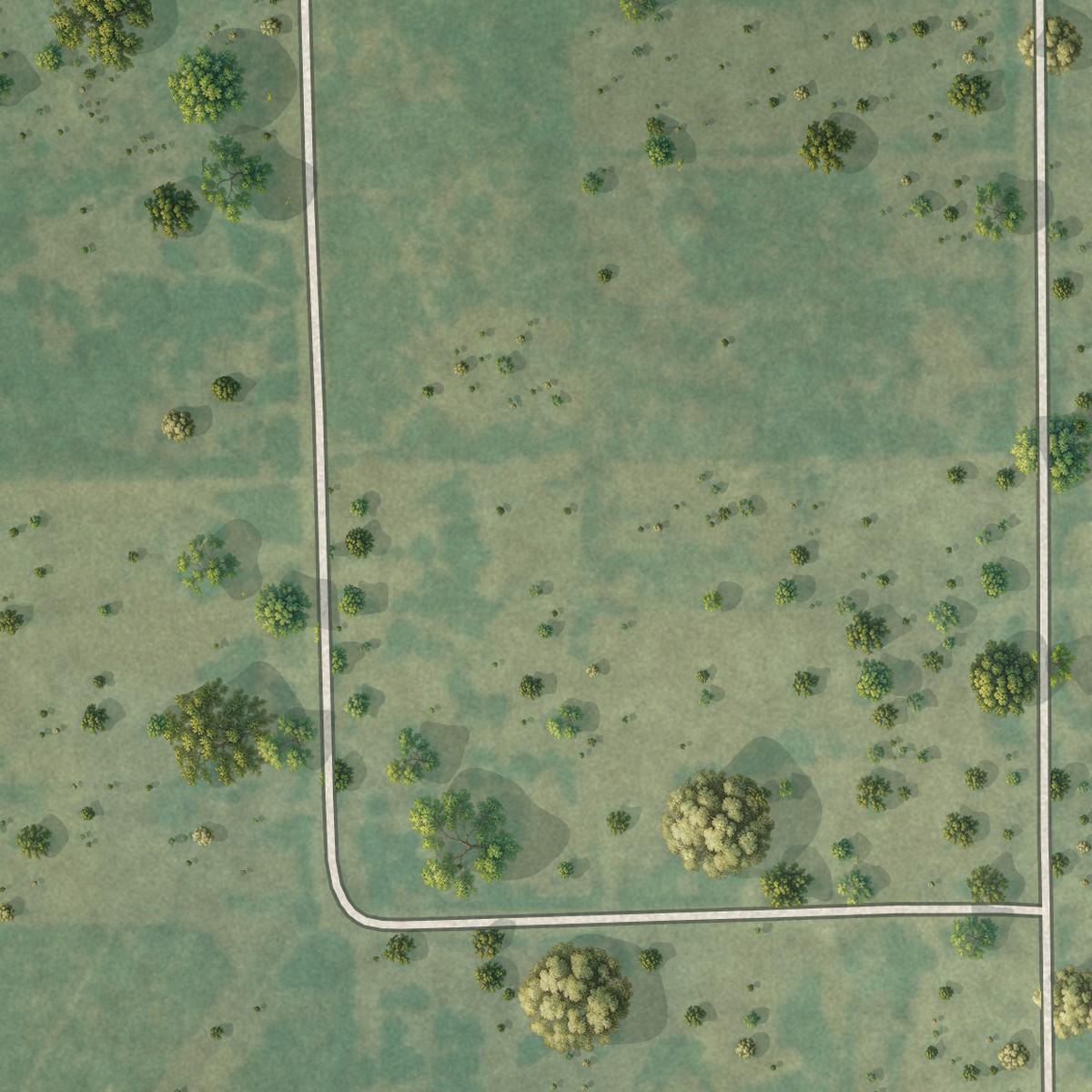 Second close-up of the map of Amargosa, Texas print showing more streets and buildings