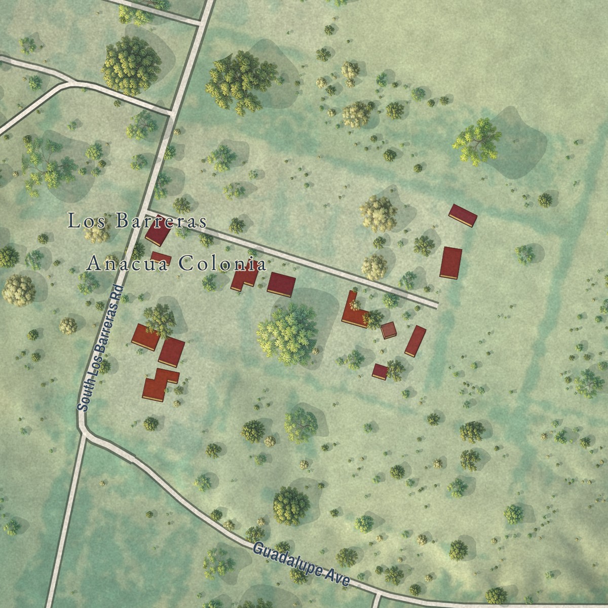Second close-up of the map of Anacua, Texas print showing more streets and buildings