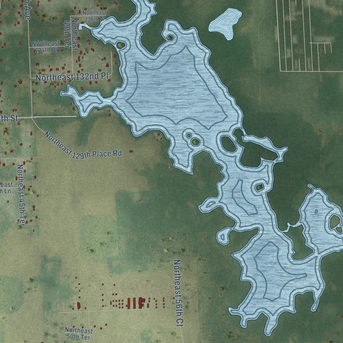 Second close-up of the map of Anthony, Florida print showing more streets and buildings