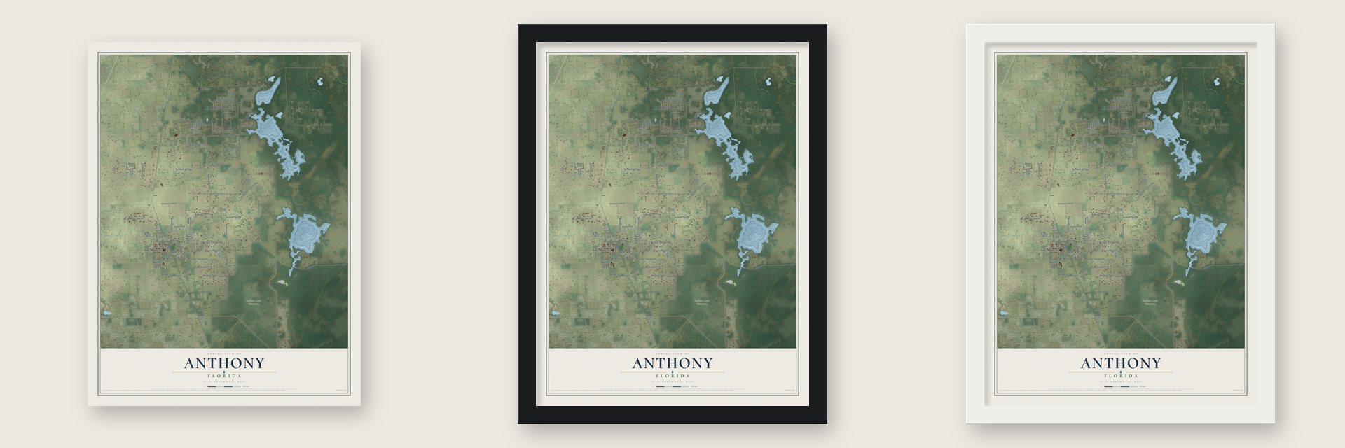 Anthony, Florida map unframed, in a black wood frame and in a white wood frame