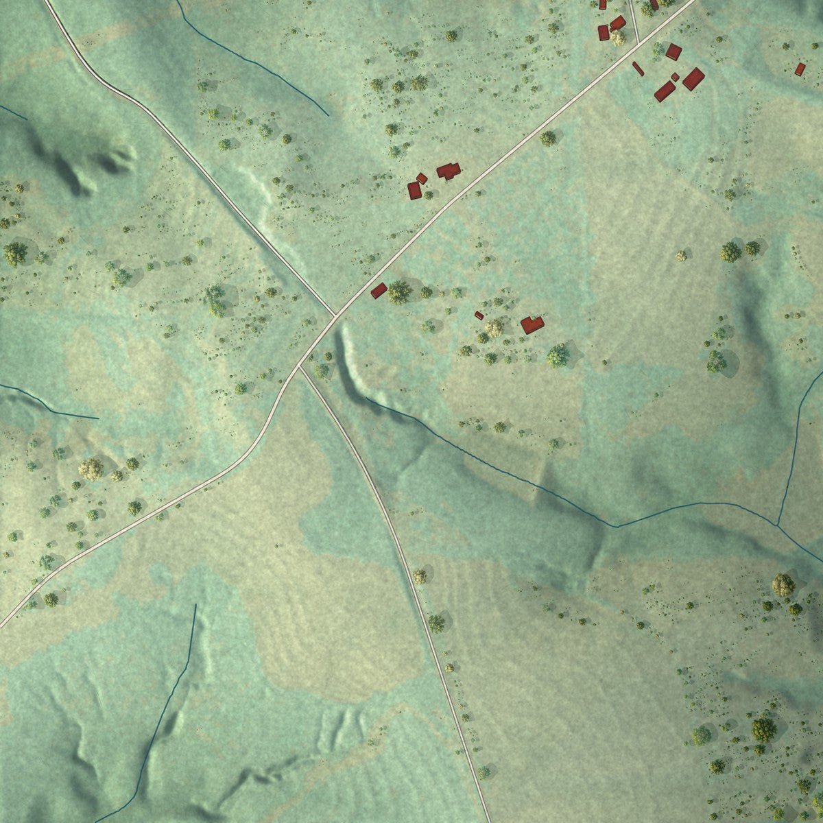 Second close-up of the map of Ariton, Alabama print showing more streets and buildings