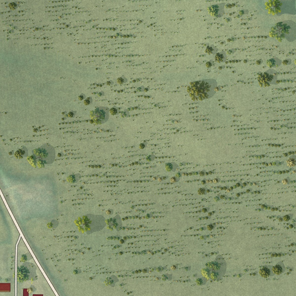 Second close-up of the map of Arlington, Wisconsin print showing more streets and buildings