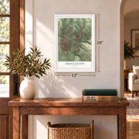 Arroyo Grande, California map, 12 x 18 inch print in a white frame in an entryway