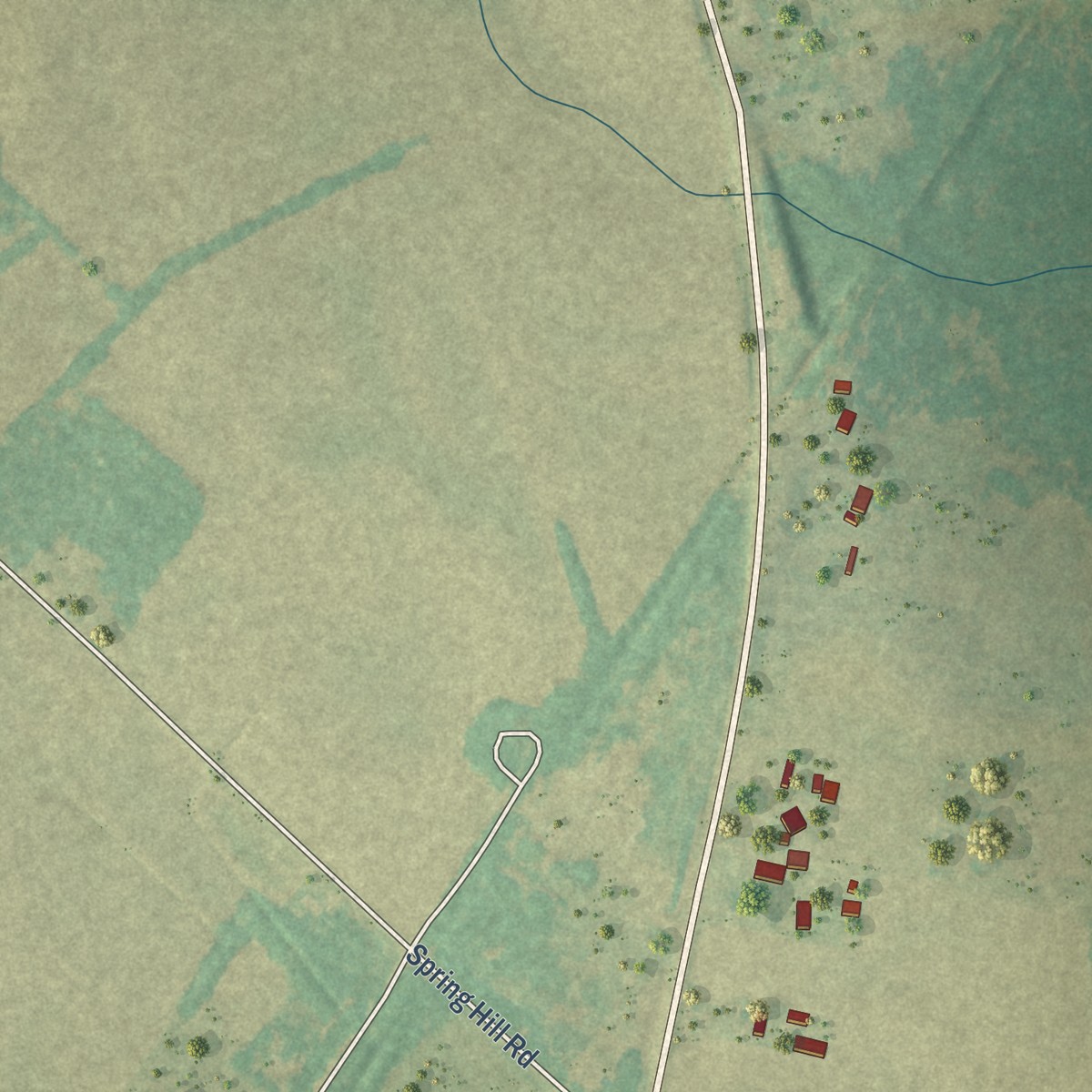 Second close-up of the map of Ashwood, South Carolina print showing more streets and buildings