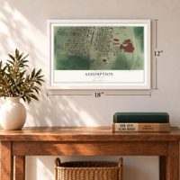 Assumption, Illinois map, 12 x 18 inch print in a white frame in an entryway