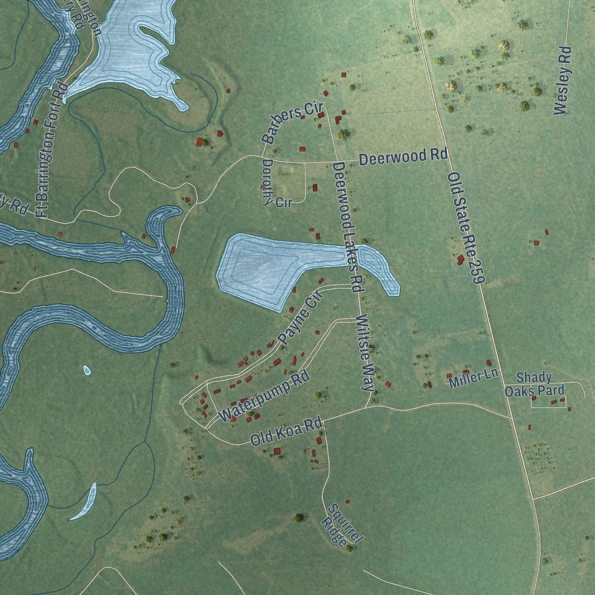 Second close-up of the map of Atkinson, Georgia print showing more streets and buildings
