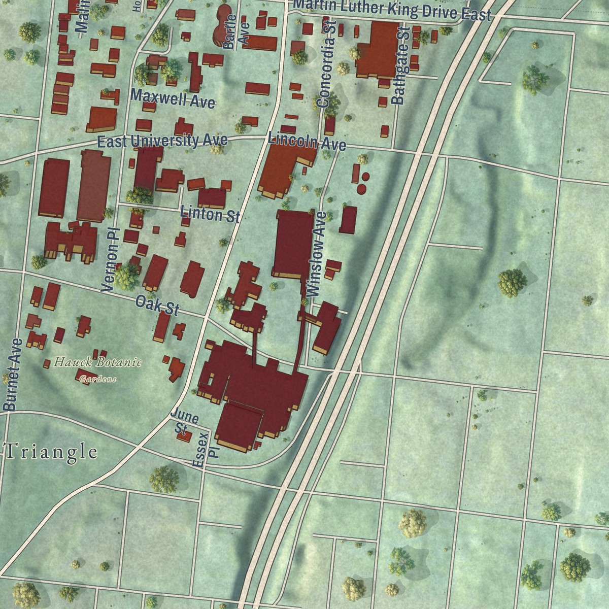Second close-up of the map of Avondale, Cincinnati, Ohio print showing more streets and buildings