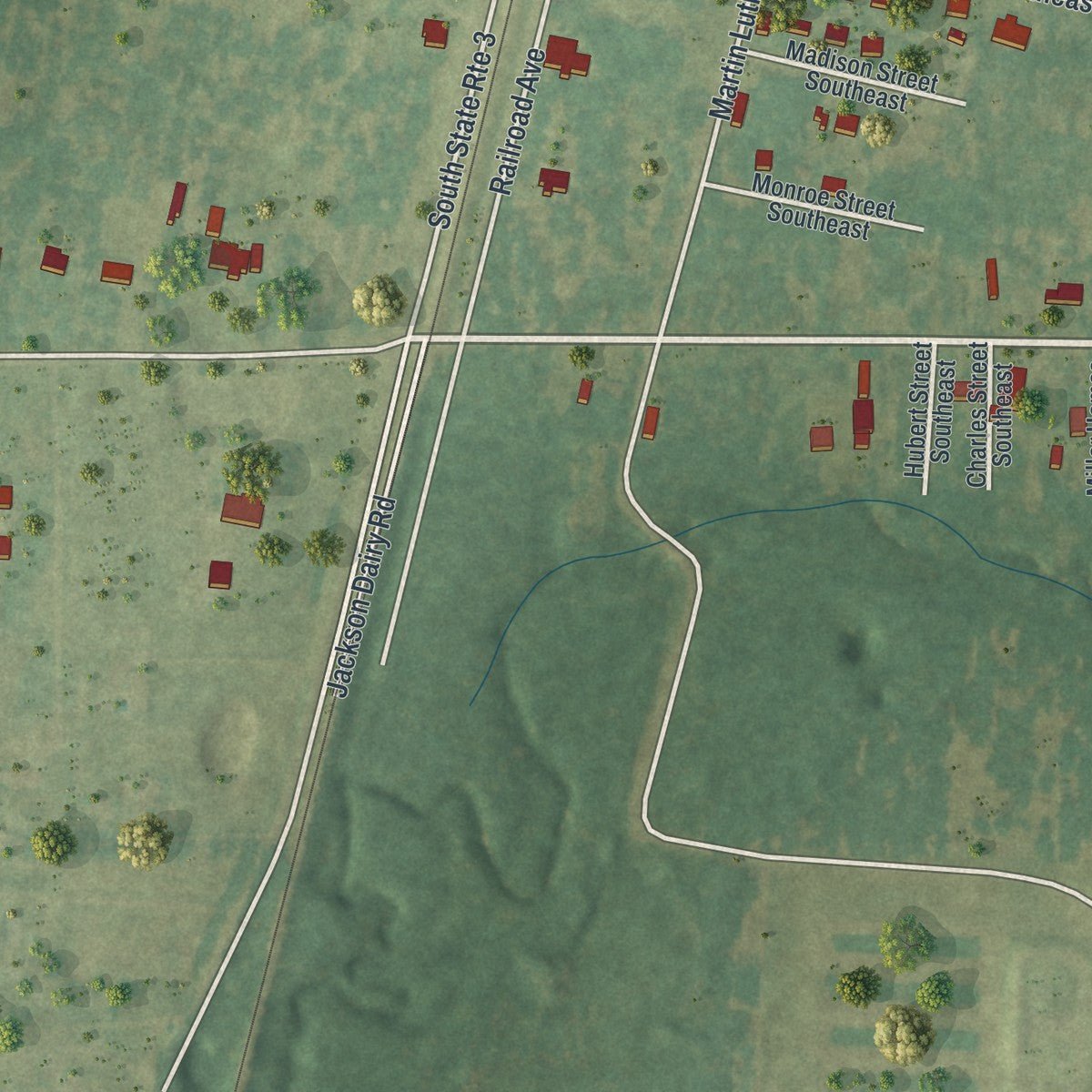 Second close-up of the map of Baconton, Georgia print showing more streets and buildings