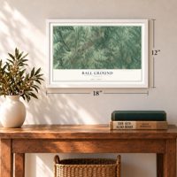 Ball Ground, Georgia map, 12 x 18 inch print in a white frame in an entryway