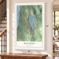 Ball Pond, Connecticut map, 24 x 36 inch print in a white frame by a staircase