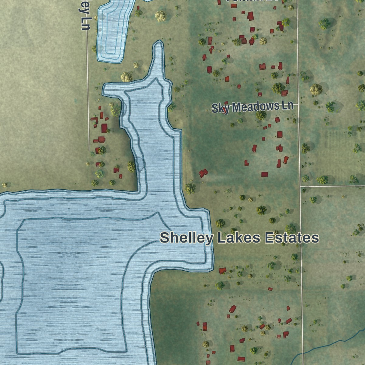 Second close-up of the map of Balm, Florida print showing more streets and buildings
