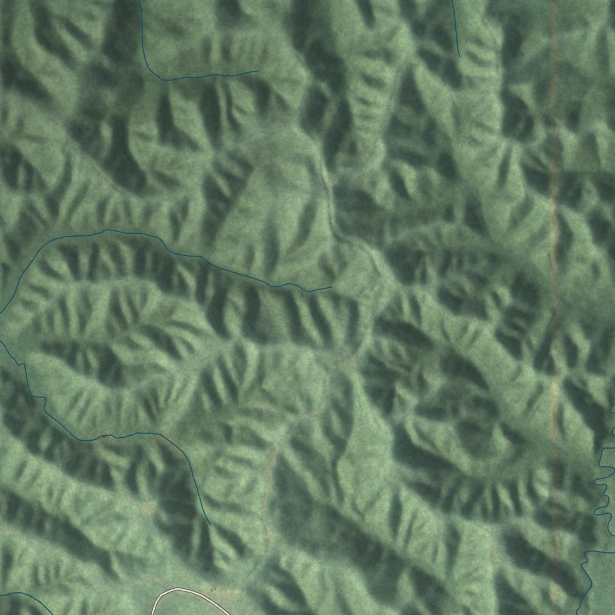 Second close-up of the map of Banks Springs, Louisiana print showing more streets and buildings