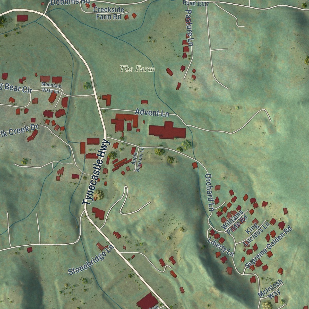Second close-up of the map of Banner Elk, North Carolina print showing more streets and buildings